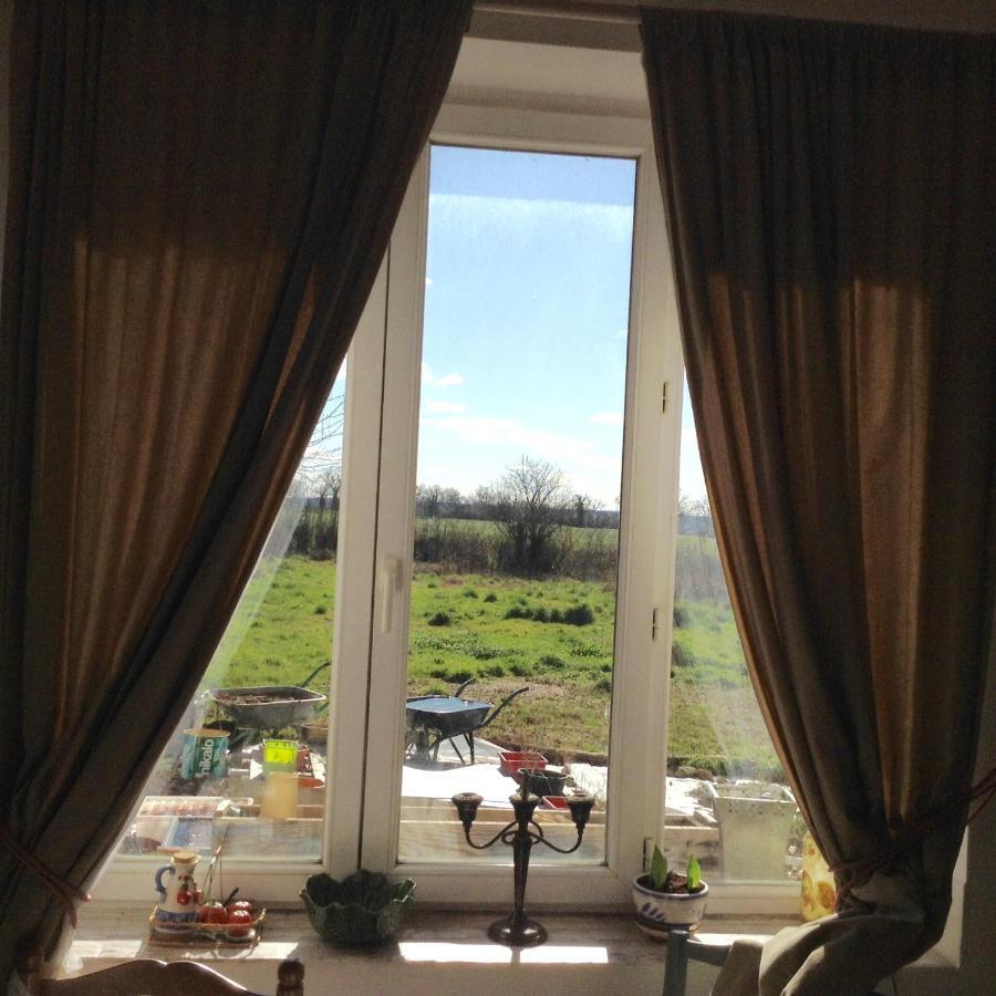 Homestay Arrabella Availles-Limouzine المظهر الخارجي الصورة
